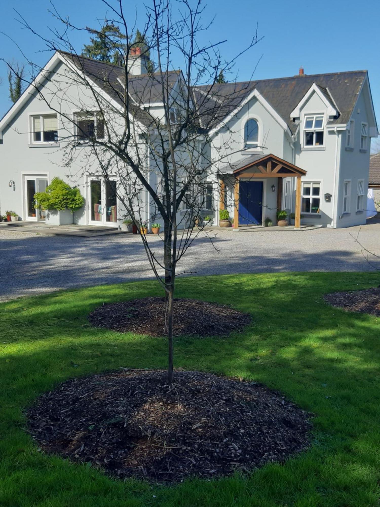 Bed and Breakfast Kyleard Ryan Monasterevin Exterior foto